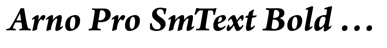 Arno Pro SmText Bold Italic